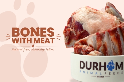 Bones with Meat