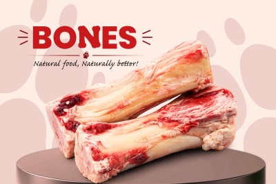 Bones