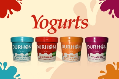 Yogurts