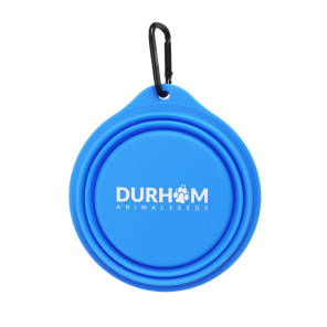 Collapsible Water Bowl