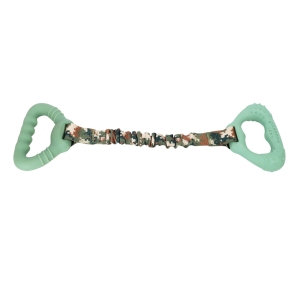 Interactive Pull ToyGreen