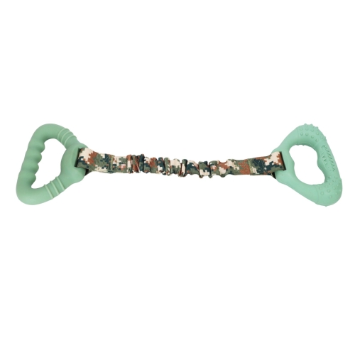 Interactive Pull Toy - Green
