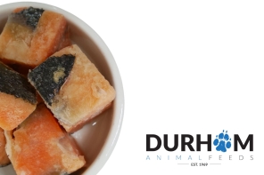 Salmon Chunks