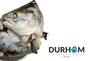Salmon Heads