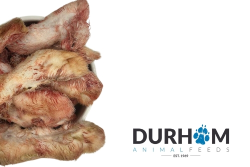 Rabbit Feet