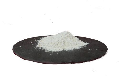 Diatomaceous Earth