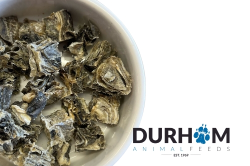 Dried Fish Cubes