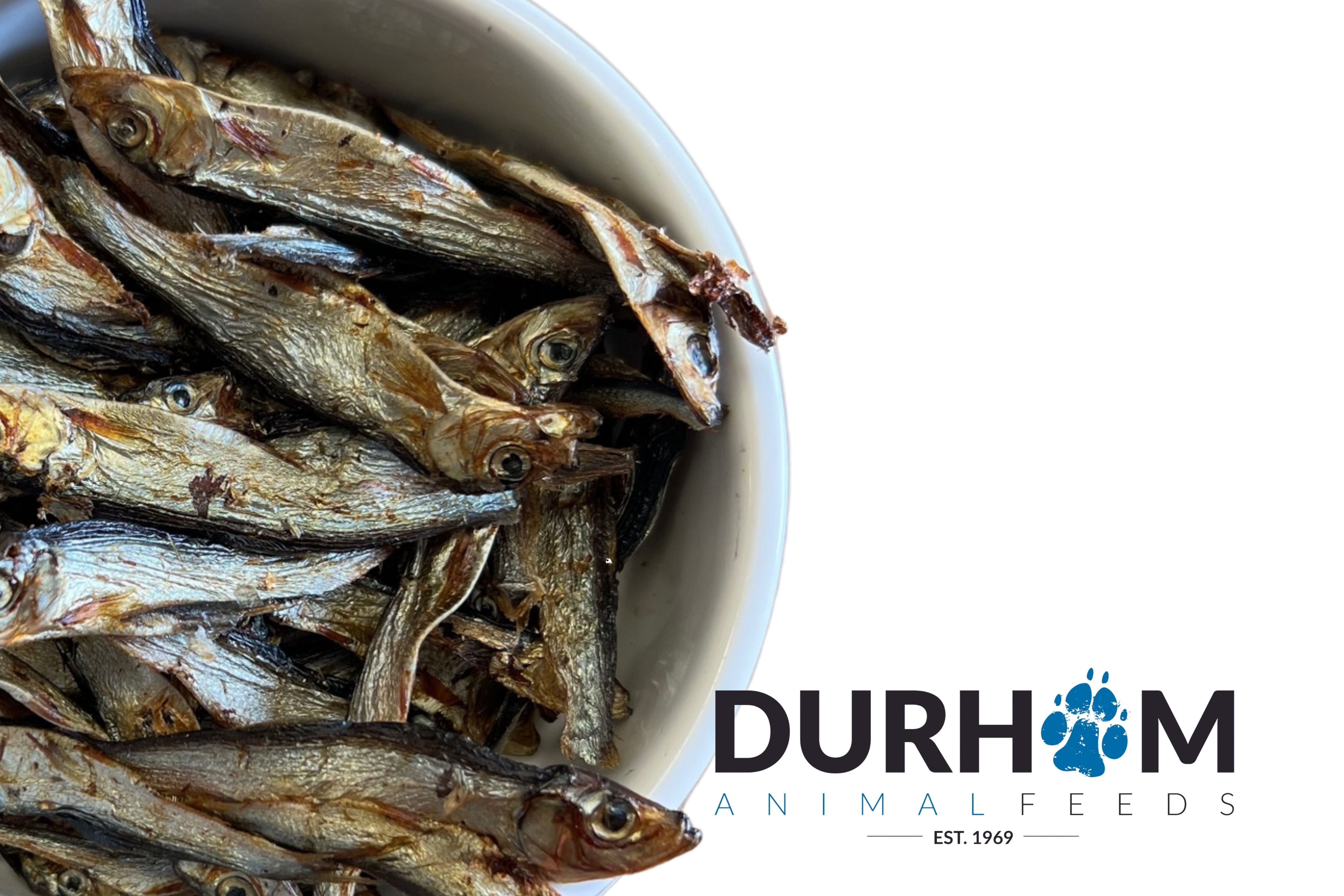 are dried sprats good for dogs