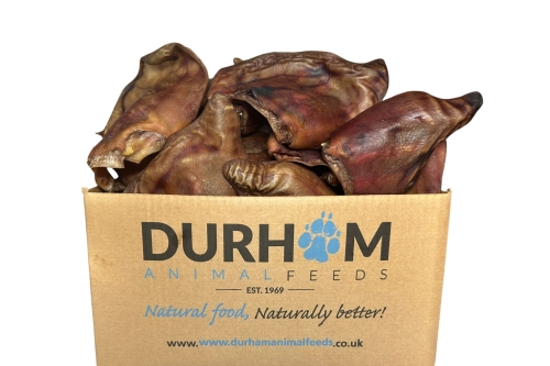 Pig Ears - 50pcs