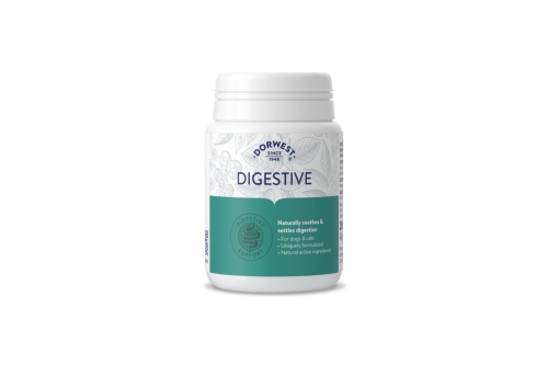 Digestive Supplement Tablets