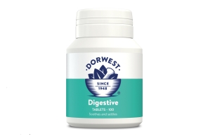 Digestive Supplement Tablets