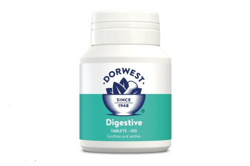 Digestive Supplement Tablets - 100t