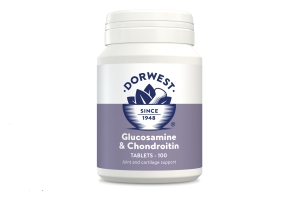 Glucosamine & Chondroitin Tablets