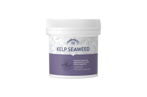 Kelp Seaweed Powder