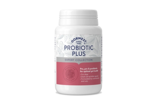 Probiotic Plus