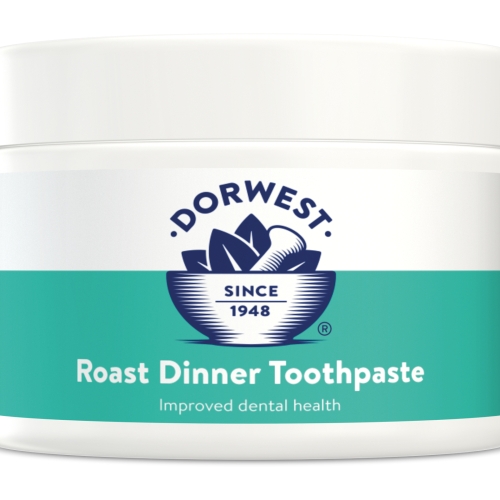 Roast Dinner Toothpaste