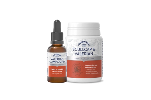 Valerian Bundle - 100 Tablets & 30ml Drops