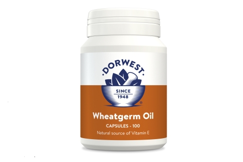 Dorwest - Wheatgerm Oil Capsules