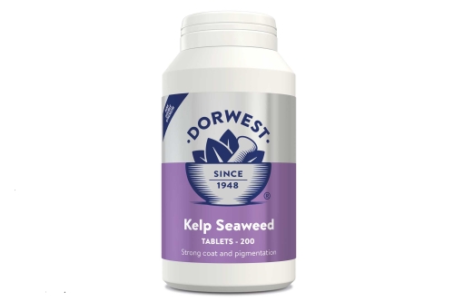 Kelp Seaweed Tablets - 200t