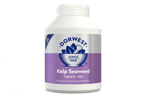 Kelp Seaweed Tablets - 500t