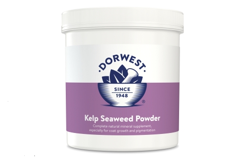 Kelp Seaweed Powder - 500g