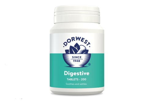 Digestive Supplement Tablets - 200t