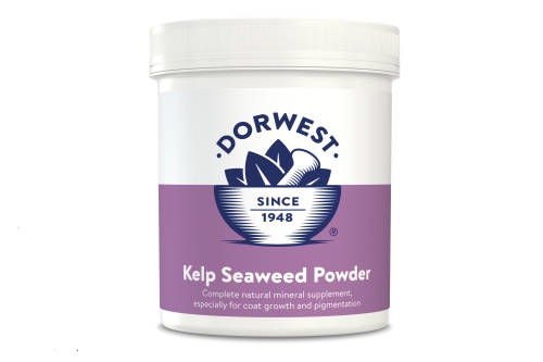 Kelp Seaweed Powder - 250g