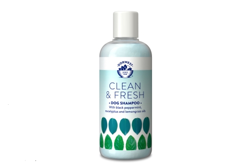 Clean & Fresh Shampoo - 250ml