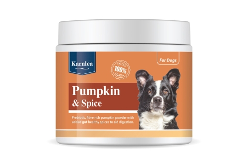 Karnlea - Pumpkin & Spice - 200g