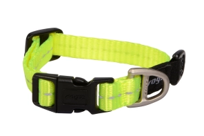 Rogz Classic Collar - Dayglo