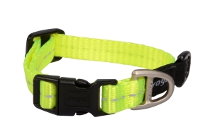 Rogz Classic Collar - Dayglo