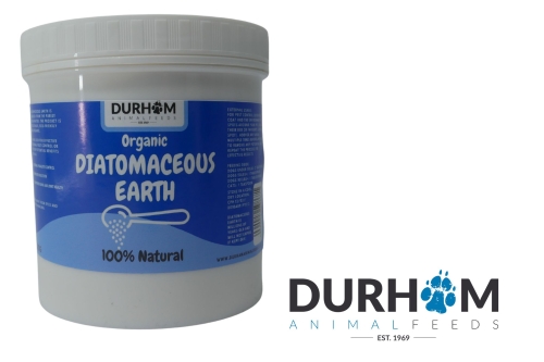 Diatomaceous Earth