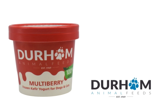 Multiberry Yogurt